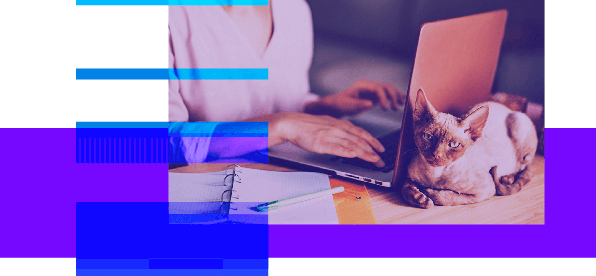 How to Protect Your Online Privacy