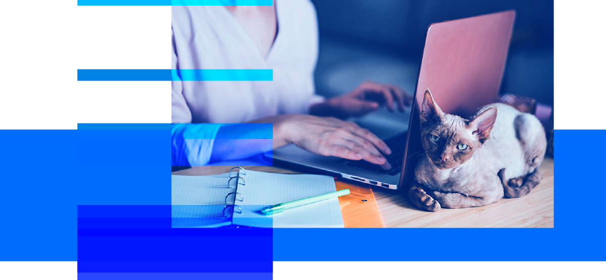 How to Protect Your Online Privacy