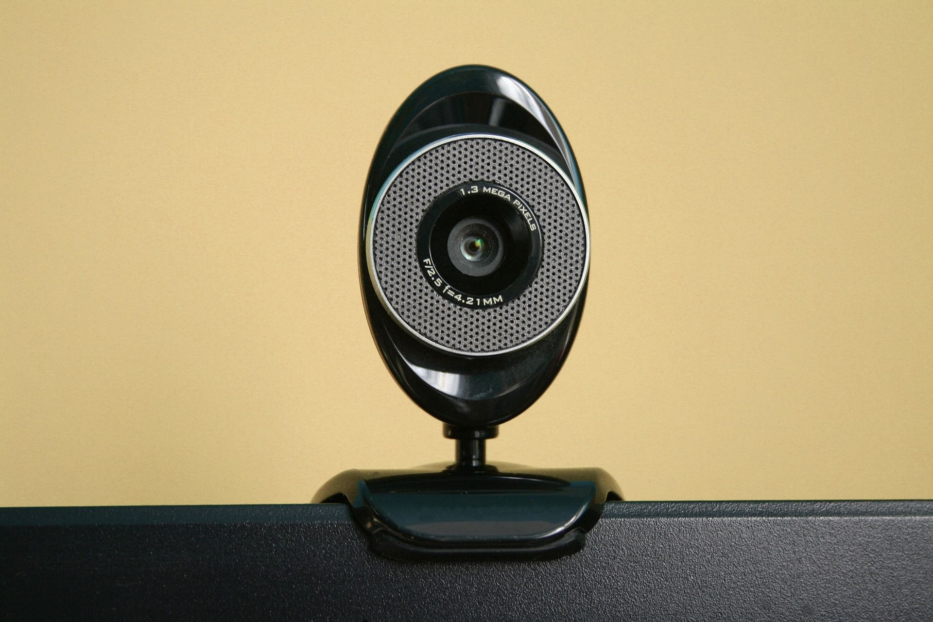 Adult webcam