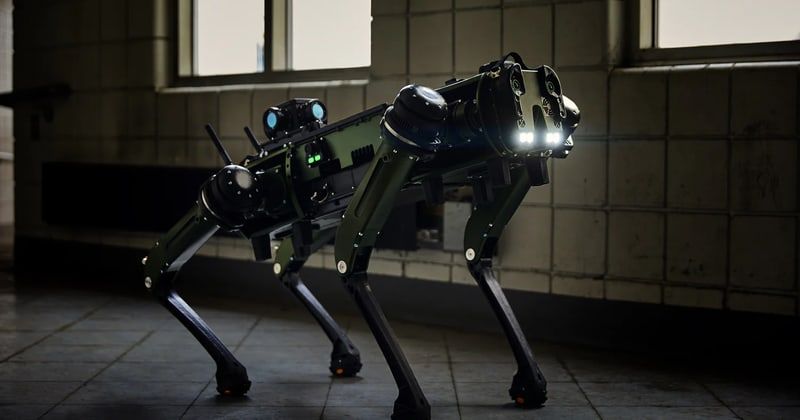 Robotic canine educated to jam wi-fi units throughout police raids