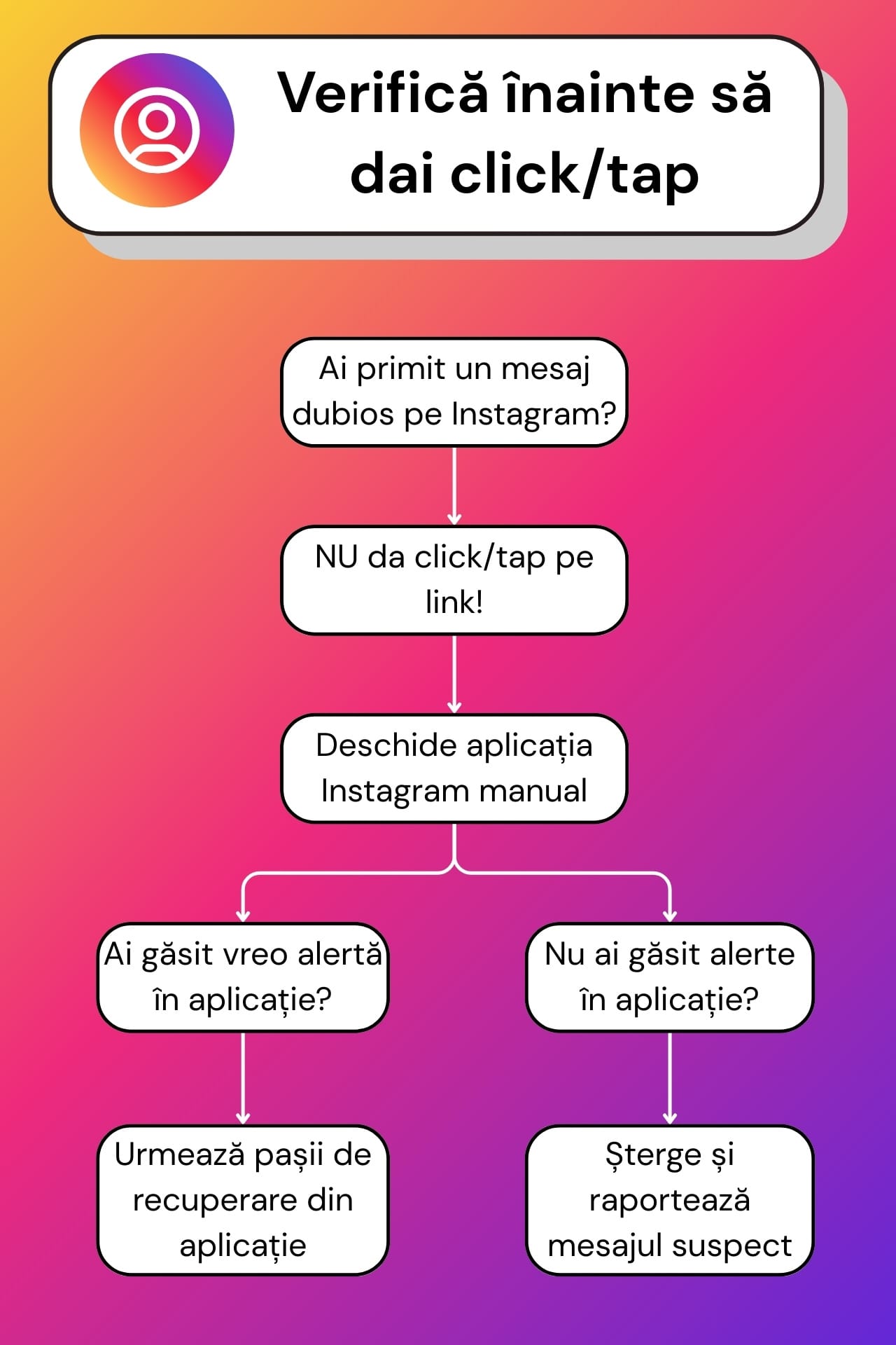 Diagramă pas cu pas care arată cum verifici o alertă de securitate Instagram direct din aplicație pentru a evita phishing-ul și paginile false de login.
