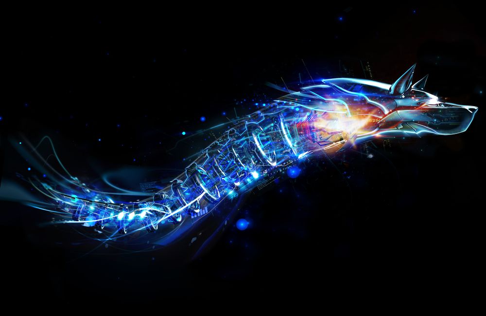 Bitdefender Reveals the Top Cyber Threats Faced by Consumers in 2021