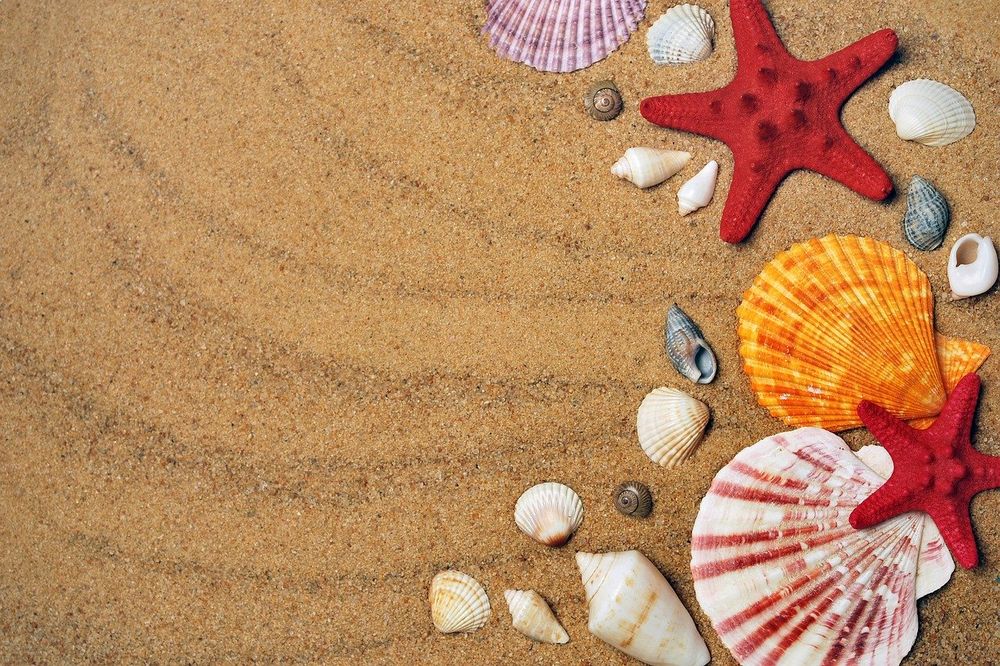 Summer security tips for surfing the Internet