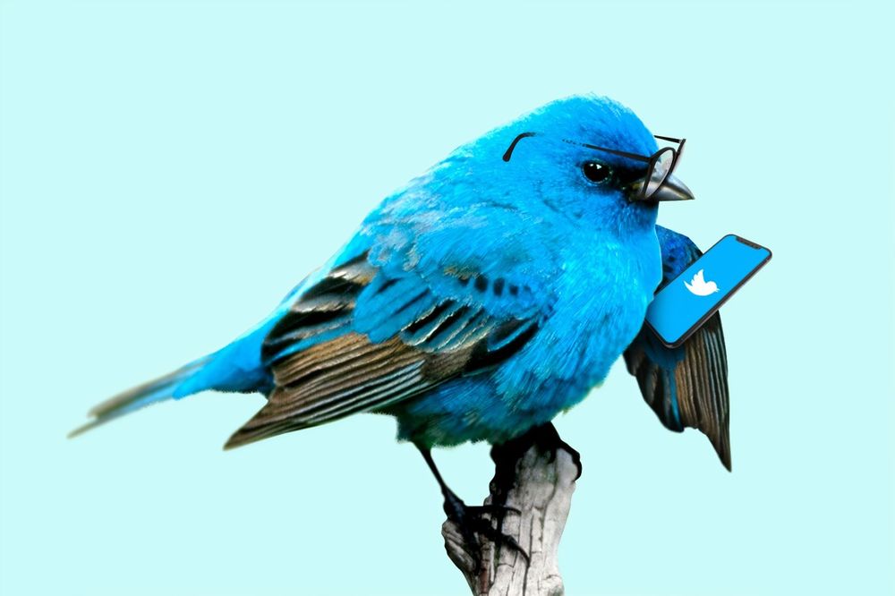 Cybercriminals Take Over Famous Twitter Accounts, Start Bitcoin Scam