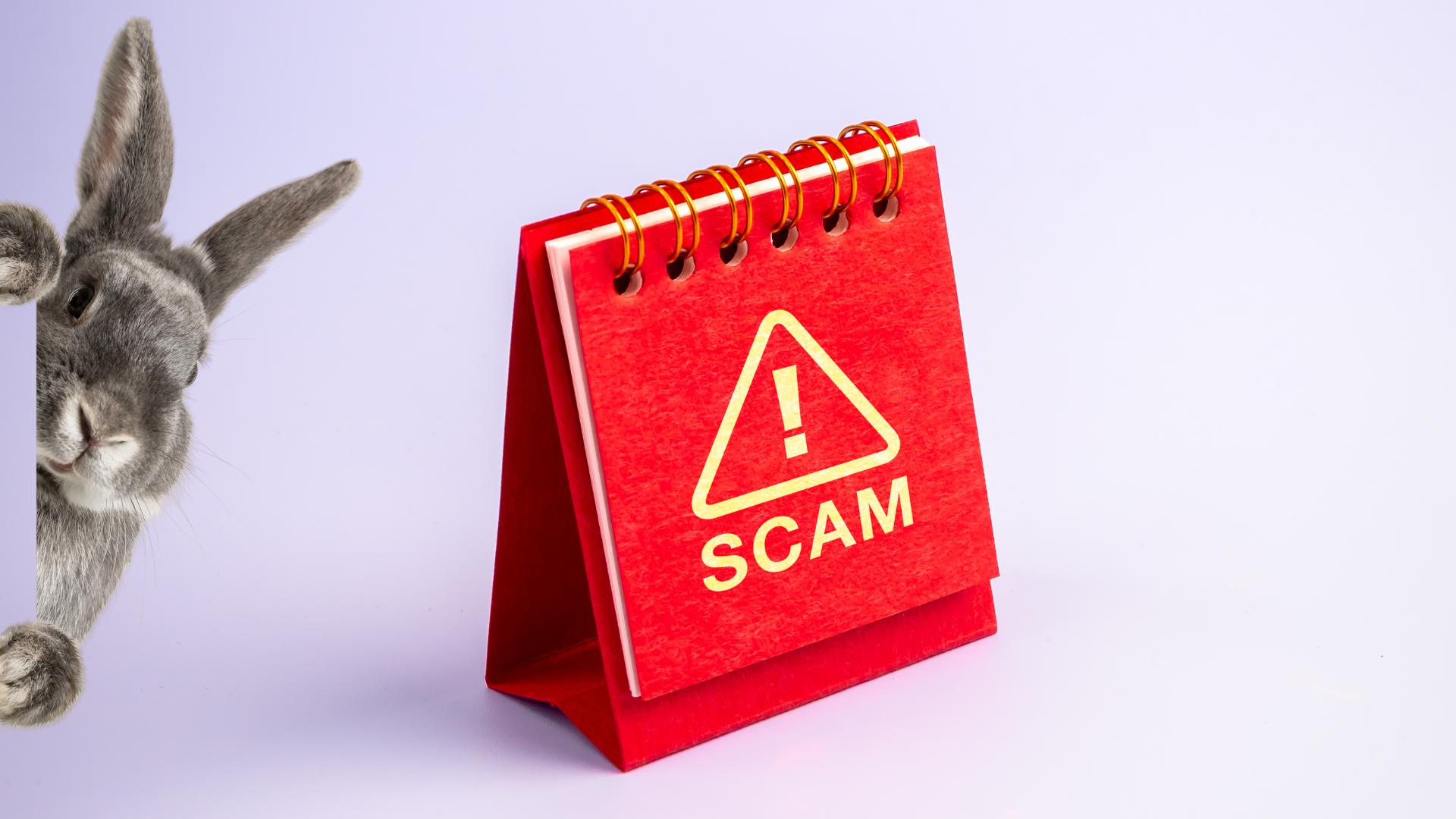 Easter scam emails to watch out for in 2026