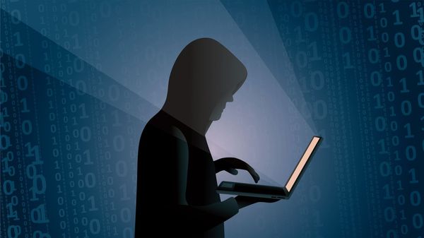 Le Dark Net : tout ce qui s'y vend