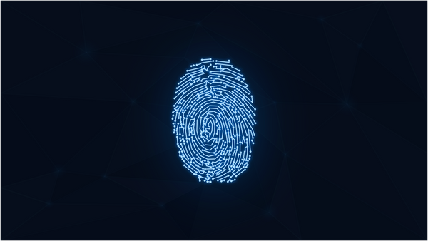 What is your digital identity, why does it matter and how can it be exploited