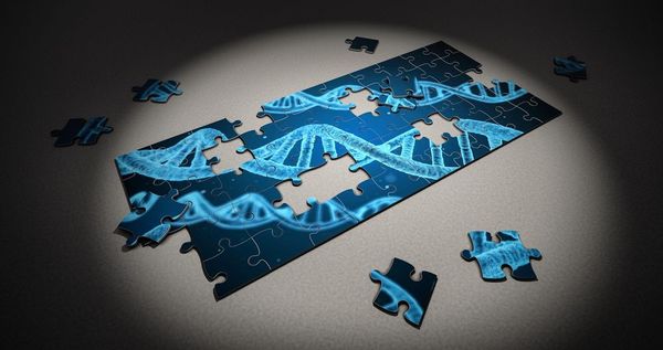 Tests ADN, la violation de données serait due à une mauvaise cyberhygiène des utilisateurs