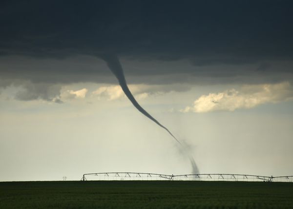 Twisting Truths: Unraveling the Tornado of Post-Disaster Scams