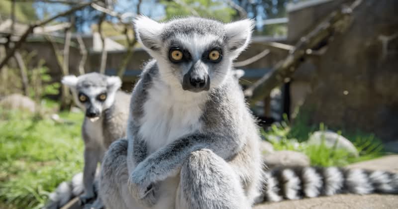 Over 100,000 Oregon Zoo visitors warned that their payment card details ...