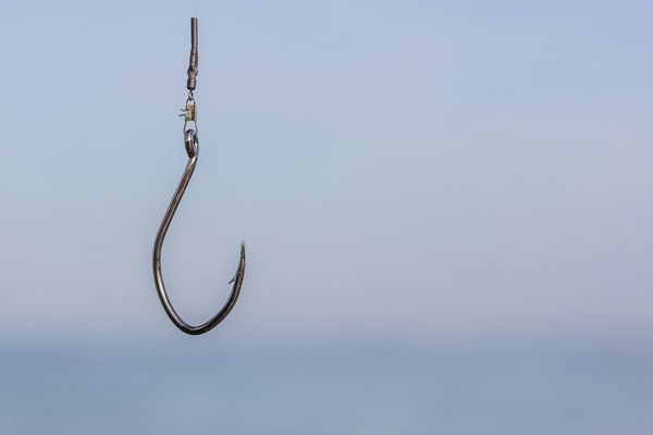 Bait and Switch: Unmasking the Allure of Phishing Scams