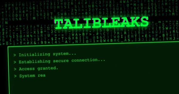 Secret Taliban records published online after hackers breach computer systems