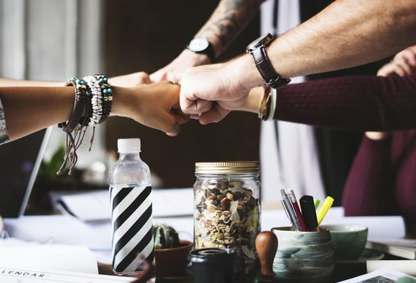 How to Start a Cooperative and Protect It from Day One