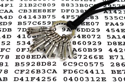 Use Encryption, Tor to Thwart NSA Surveillance, Snowden Urges