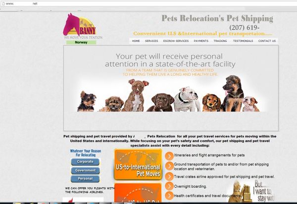 Animal Lovers Lose Thousands of Dollars after Falling for Pet Scams