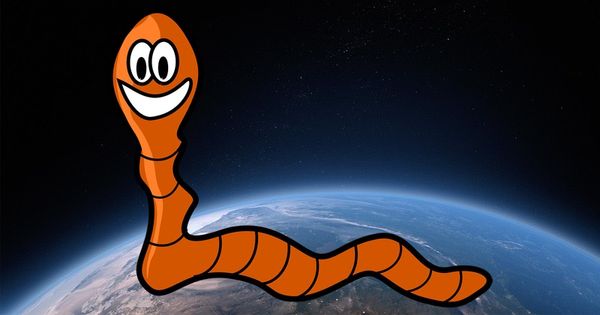 Could a 'good worm' save the Internet of Things from the Mirai botnet?