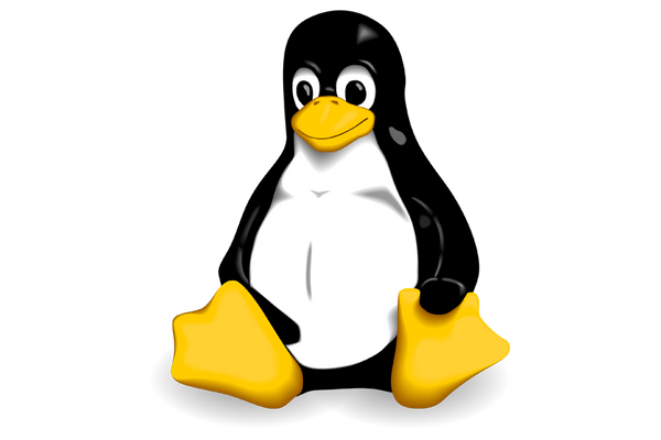 Serious Linux Vulnerability Abuses LUKS to Gain Root-Level Shell in 70 Seconds