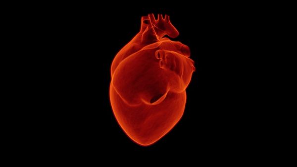 Artificial intelligence algorithm predicts heart attacks and strokes