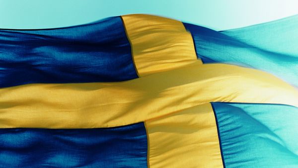 Sweden leaks top-secret military, civilian databases in massive outsourcing blunder