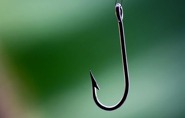 ProtonMail warns all users to beware of phishing scam