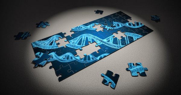 Medical Information of 233,000 Individuals Exposed after Genetic Testing Lab Hack