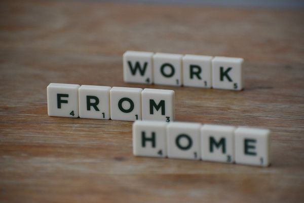 Employees Embrace Work-from-Home but Worry about Data Security, Study Shows
