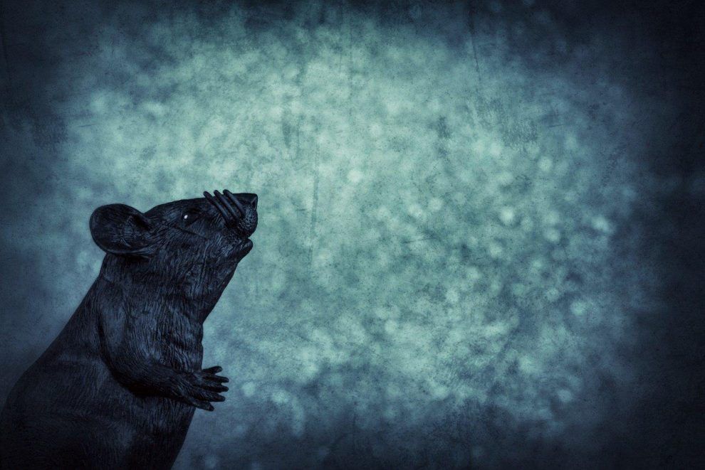 There's a New a Golang-written RAT in Town